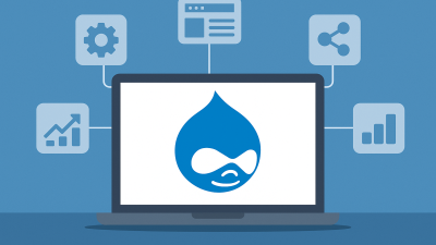 Essential Drupal Modules Every Business Website Must Have